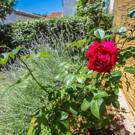 פורץ Apartment Rosse מראה חיצוני תמונה