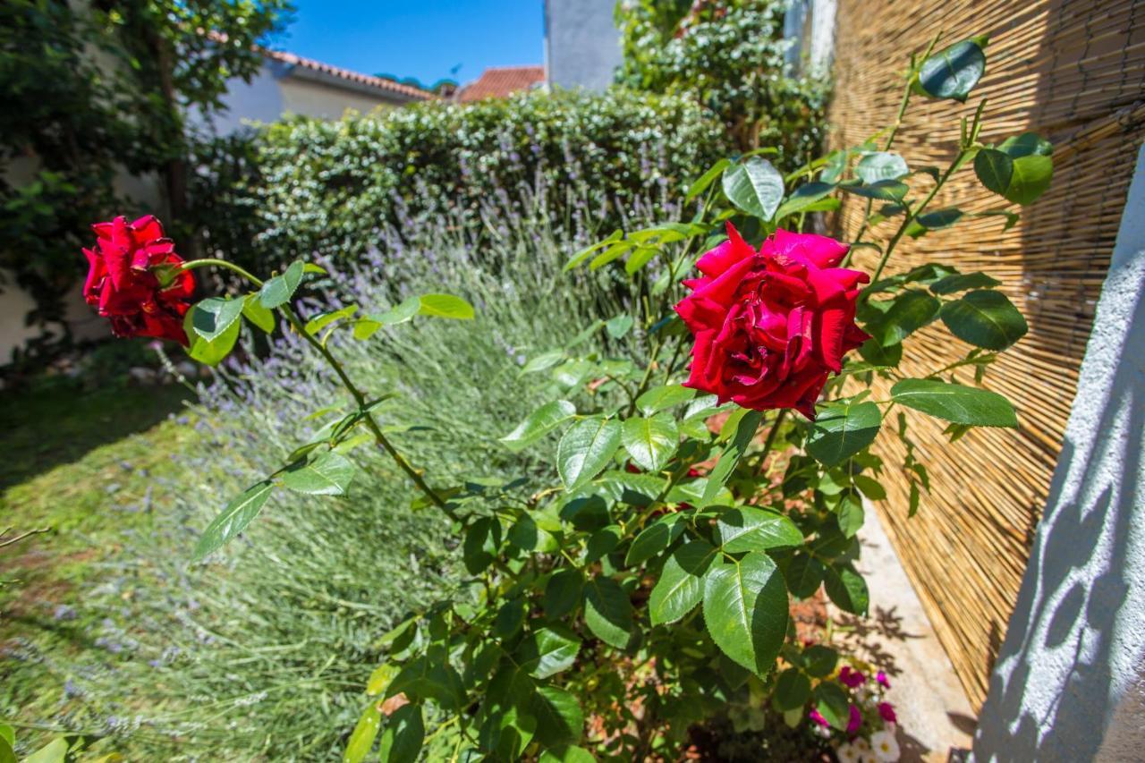 פורץ Apartment Rosse מראה חיצוני תמונה